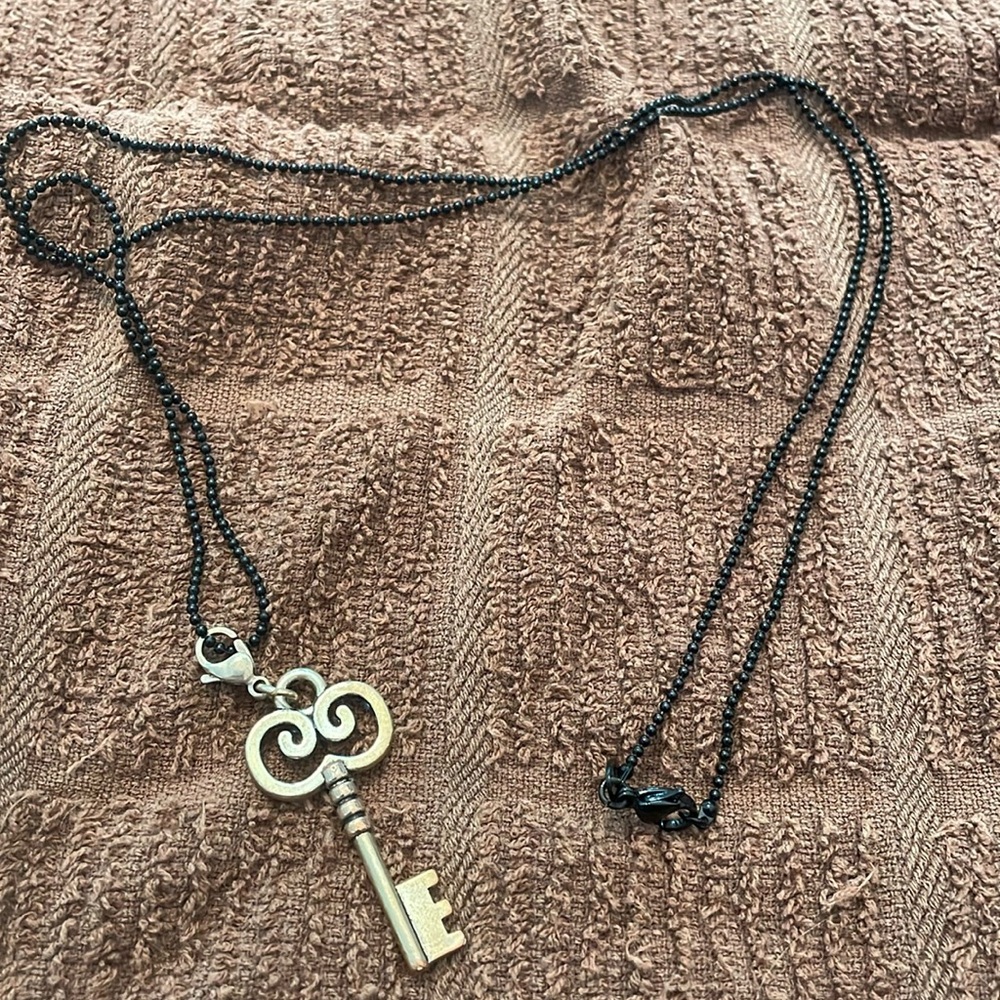 Origami Owl necklace and charm